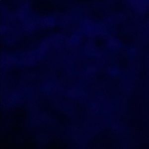 Meet your Posher, Fredrick